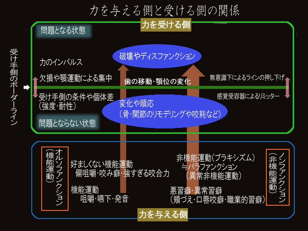 Avery口腔組織・発生学 JamesK. Avery、 良巳， 寺木、 誉夫， 相山